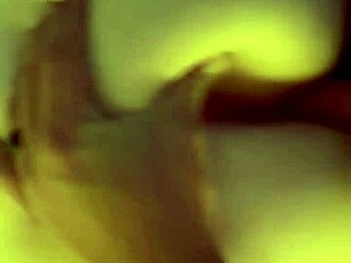 Every pussy deserves care and attention