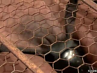 I Vibrate the Ebony Slut in Her Small Cage