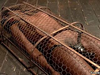 I Vibrate the Ebony Slut in Her Small Cage