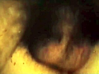 Dark Lantern Entertainment Unveils Vintage Tale of The Dragonfly