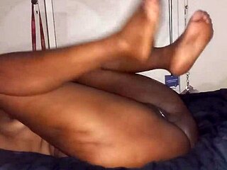 Bookworm Amateur Receives Hardcore Blowjob