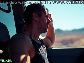 Fit kitty gets a creamy finish in desert heat