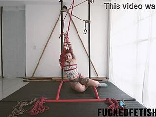 I recall a little redhead in the woods