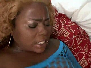 Horse With Black Dick And Huge Balls Sucked By Cow Hard