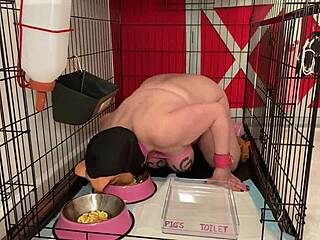 i'm just a filthy cunt getting humiliated in this cage, drinking piss like a pig
