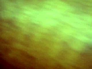 Amateur Video From 2016