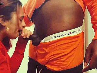 Latina gives blowjob leading to creampie