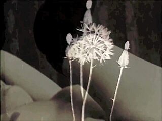 My secret life vintage orgy