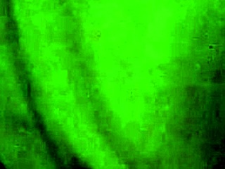 Descriptive blowjob leads to intense cumshot in secret affair