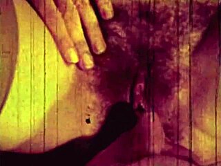 Wonderful Vintage Threesome in Retro Porn Scene