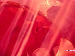 amber rain in lingerie fucks evens stone on rose petals