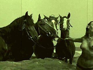 Dark lantern presents vintage retro antiques