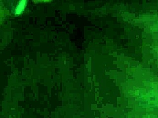 Public Scene In Q7 With Bot Q4 And Intoxicated Charm