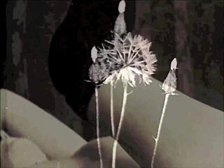 Victorian lesbians fuck hairy pussies