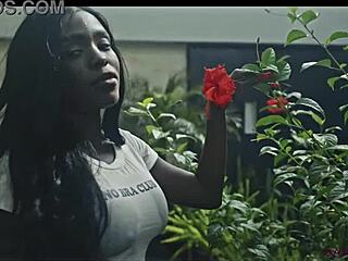 Sexy Ebony Solo Striptease in Sanktor 109 Erotic Dance Video