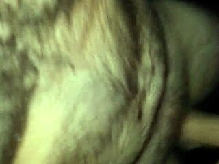 random prego from craigslist surprises with thick meatstick encounter