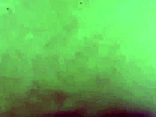 Blonde Babe Sucks Cock Then Gets Fucked In The Ass