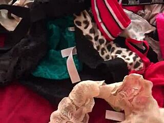 I'm going through my wife's sexy panties while she's at work.