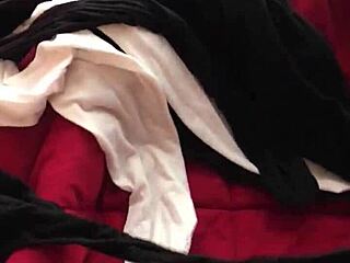 I'm going through my wife's sexy panties while she's at work.