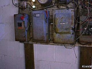 Young Butt Fucked With Sex Toy