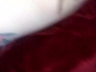 casandra bends over for gonzo's cock in wild doggystyle action. her moans echo through the room.