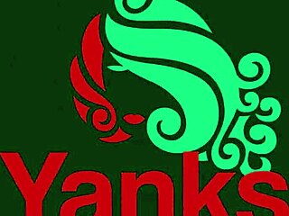 Yanks Endza reaches climax masturbating her pussy with toys in stockings