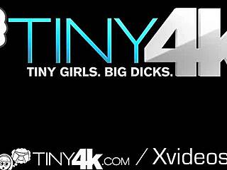 i'm the submissive girl scout sellin sex and cookies for ya