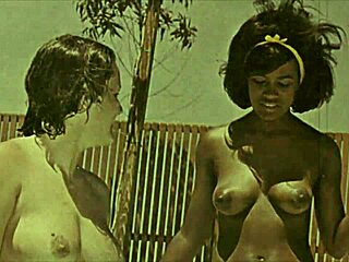 dark lantern shares vintage erotic confessions of worldly women