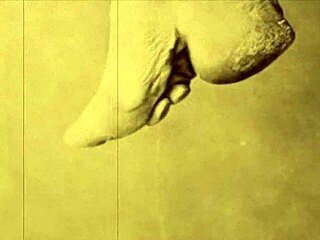 vintage bizarre dark lantern entertainment presents my secret life the 19th century diaries of an english gentleman