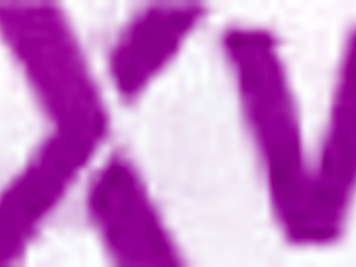 Dominique Palermo swallows 12 cum loads.