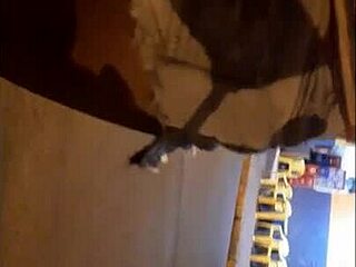 Girls Show Off In Street, Hot Brunette Gets Wild In Shower!