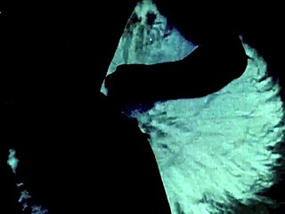 Dark Lantern Entertainment Presents VINTAGE ARCADE FILMS Wow!