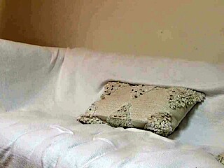 pj daniels screams as her tight teen ass gets pounded in anal pov fucking scene two!