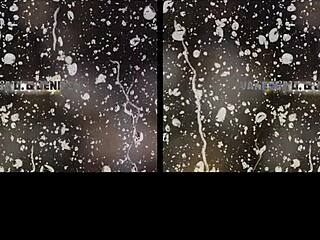 i'm playfull pissing with jenifer jane and vanessa decker in vr