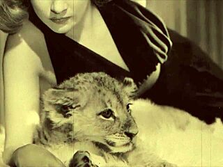 Dark Lantern Entertainment Presents Vintage Retro Scenes