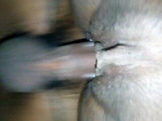 Doggystyle Creamy Pussy Fun