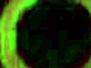 Can You Handle This Double Blowjob on Hung Miles Long and Pressley Carter?