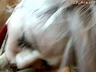 Milf Aimeeparadise Deepthroats Dick