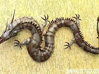 Feel the thrill as my big shemale Barbie cock prepares your ass.