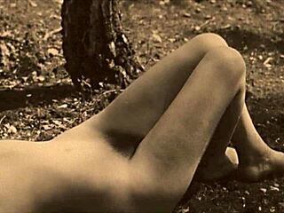 Two Centuries Of Vintage Porn