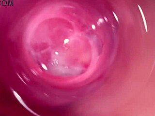 camera zooms deep into stepsister's creamy teen 18+ slit