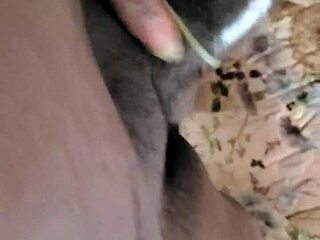 This white slut deeply throats big black cocks in interracial scenes