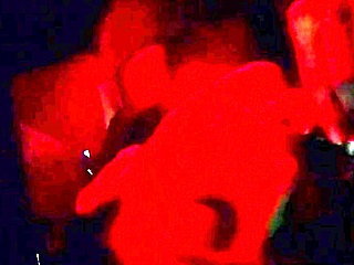 Argentina gives you a handjob and sucks your dick 😏