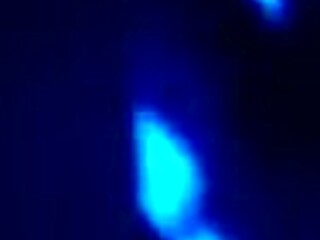 short video clip from december 31, 2012, at 5:49 pm.