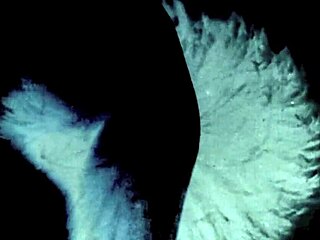 Explore The Wonderful World Of Vintage Pornography With Swinging Sixties English Threesomes!