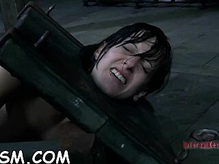 Brunette Babe Submits To Stud's Demands With Toys And Blowjob