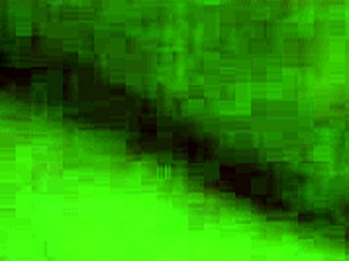 Sucking Wet Pussy with Intense Close-Up Action