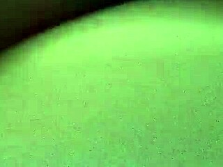 white wife cums on bbc dick