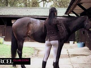 hot time in the stables