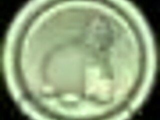 Ashley, on your pirate date with the bard, did you encounter the minotaur in the forest?